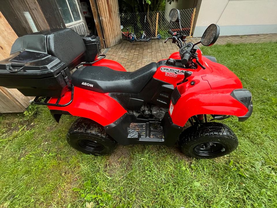  Aeon quad 300 2014 — photo 5