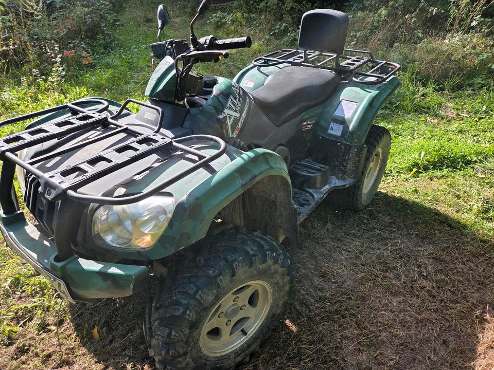 Weitere Motorräder Gelöscht • Quad 4x4 u Winde 2010 — вигляд ззаду