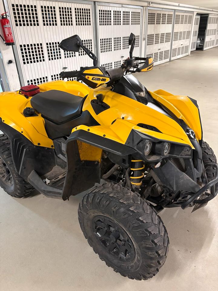 Weitere Motorräder Can am Renegade 500 2014 — photo 5