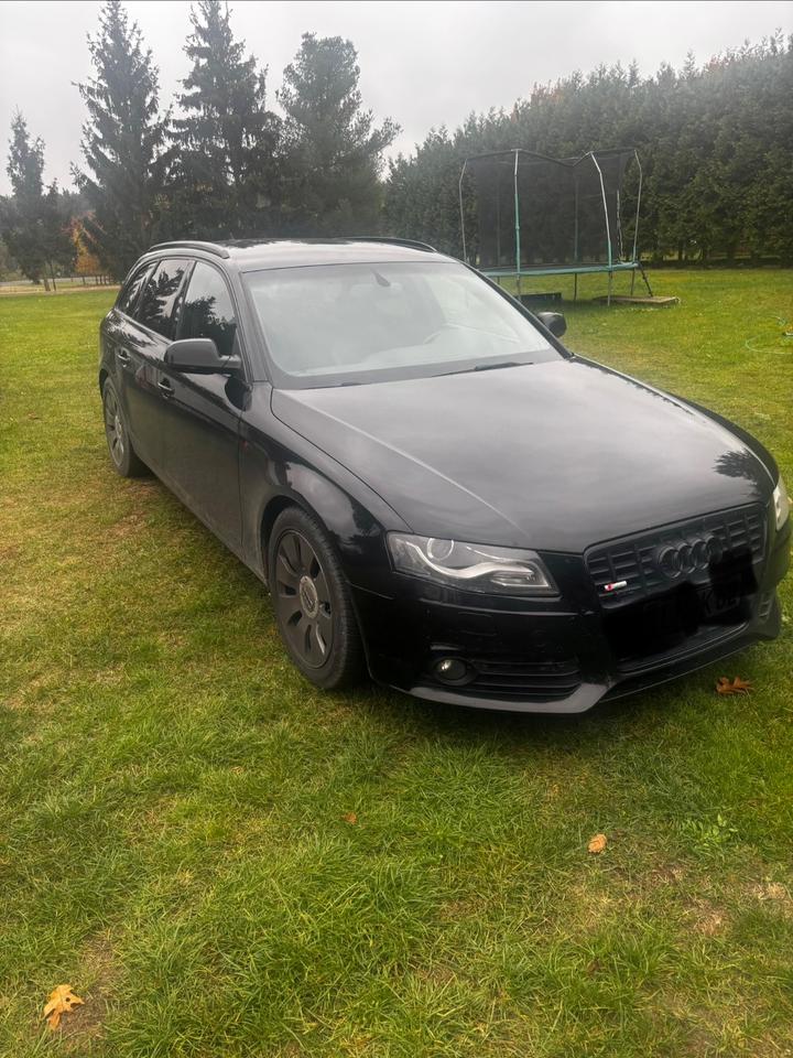 Audi A4 2009 — rear view