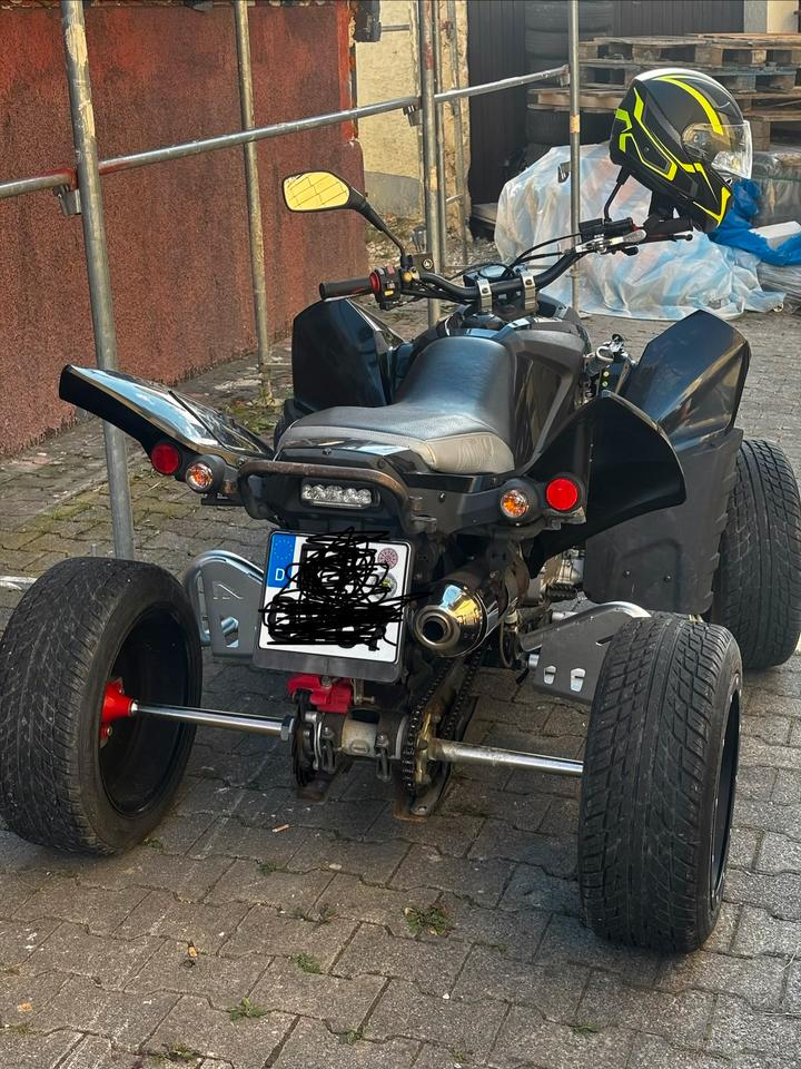 Weitere Motorräder Gelöscht • Quad 320 Adly 2013 — вигляд ззаду