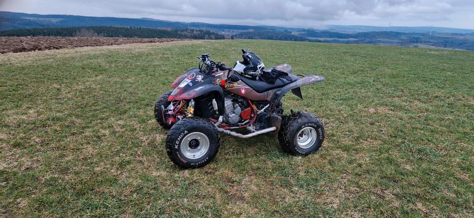 Suzuki ltz 400 Baujahr das letzte Vergaser model 2008 — rear view