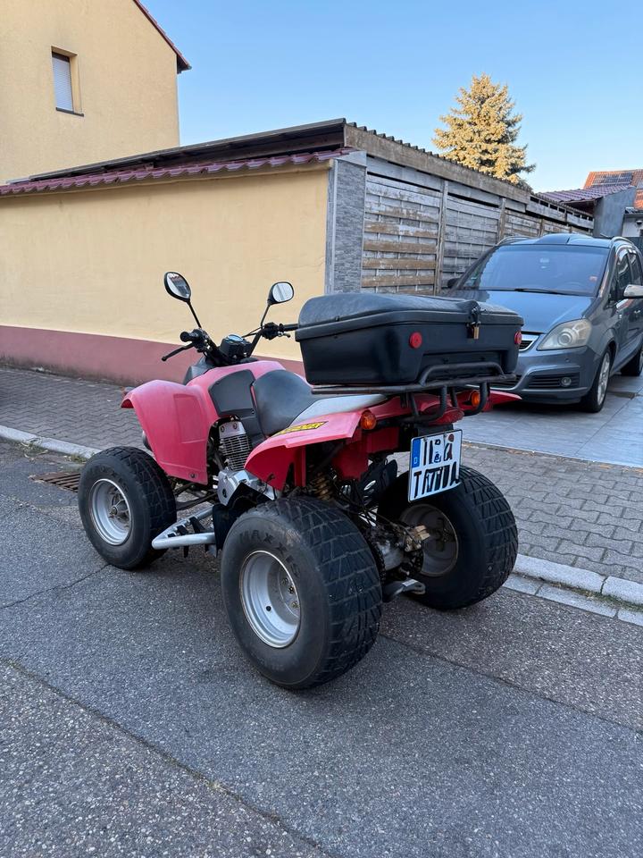  Gelöscht • SMC Quad RAM 2014 — engine 250 ccm
