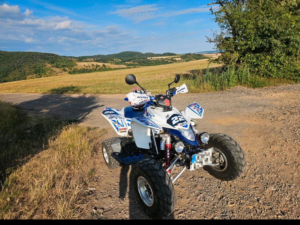 Suzuki Gelöscht • Suzuki LTZ400 BJ 2012 — rear view