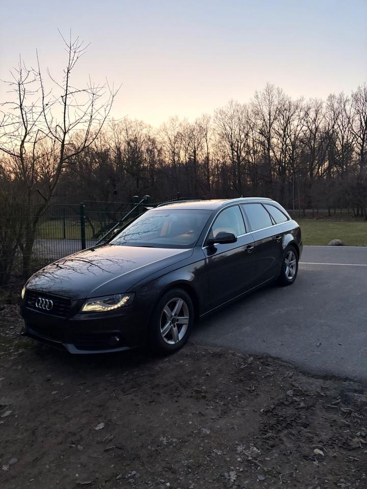 Audi A4 2009 — вигляд ззаду