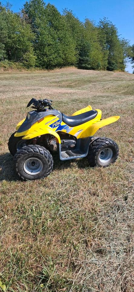 Dinli T-Rex 50ccm quad 2004 — vehicle for AFU Ukraine