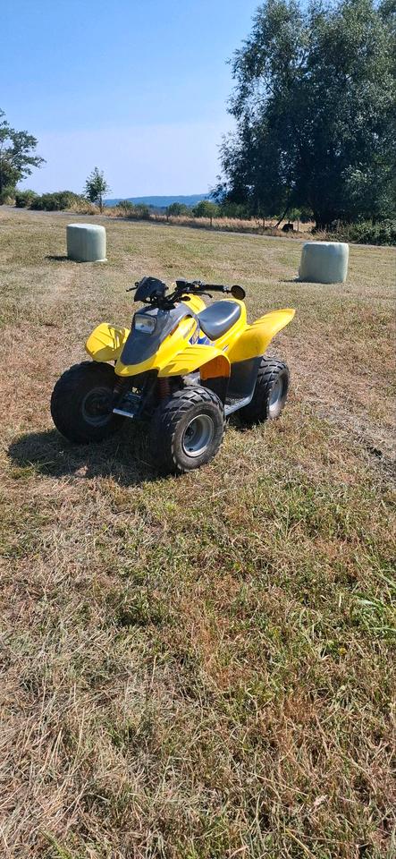  Dinli T-Rex 50ccm quad 2004 — rear view