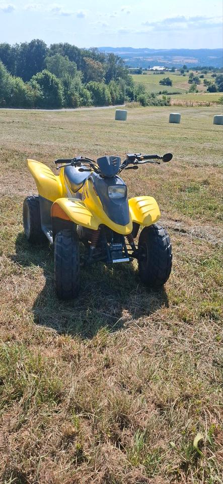  Dinli T-Rex 50ccm quad 2004 — interior