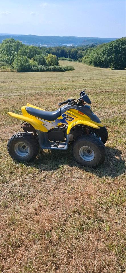  Dinli T-Rex 50ccm quad 2004 — engine 50 ccm
