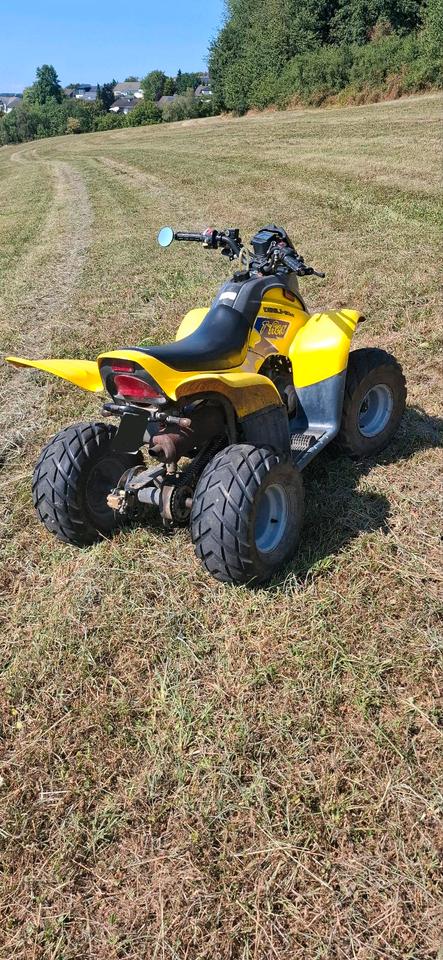  Dinli T-Rex 50ccm quad 2004 — photo 5