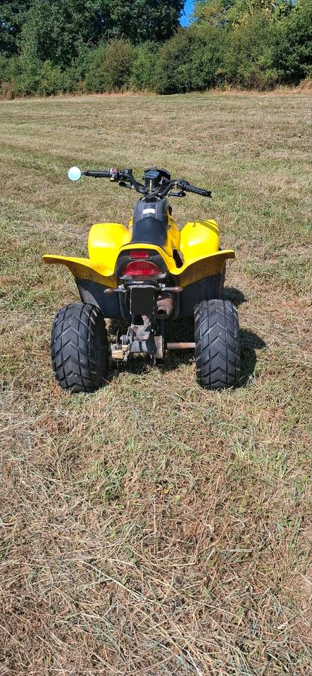  Dinli T-Rex 50ccm quad 2004 — photo 6
