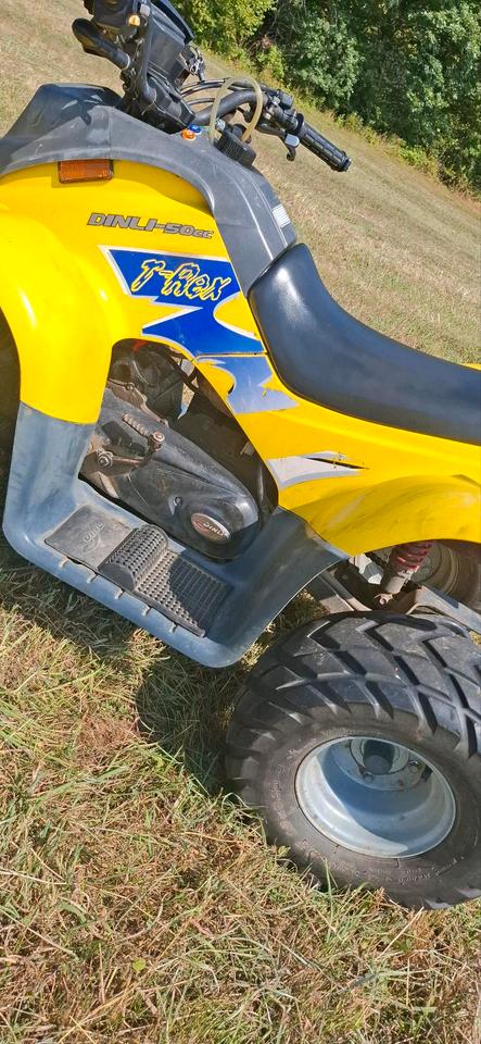  Dinli T-Rex 50ccm quad 2004 — photo 7