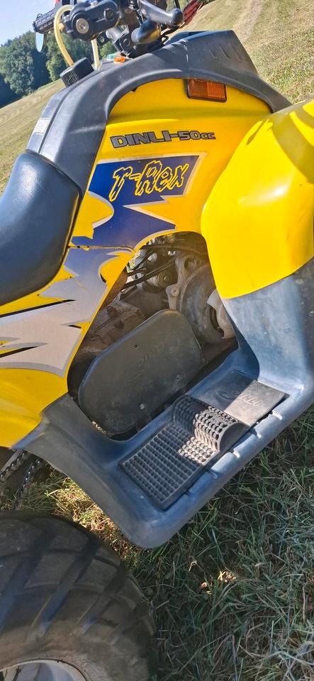  Dinli T-Rex 50ccm quad 2004 — photo 8