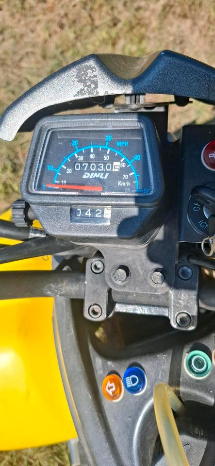  Dinli T-Rex 50ccm quad 2004 — photo 9