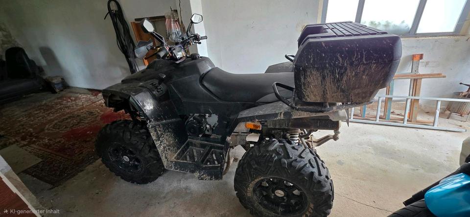 Weitere Motorräder Dinli quad, 2011