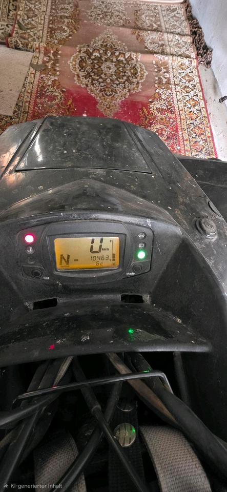 Weitere Motorräder Dinli quad 2011 — rear view
