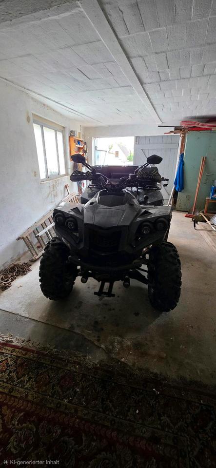 Weitere Motorräder Dinli quad 2011 — interior