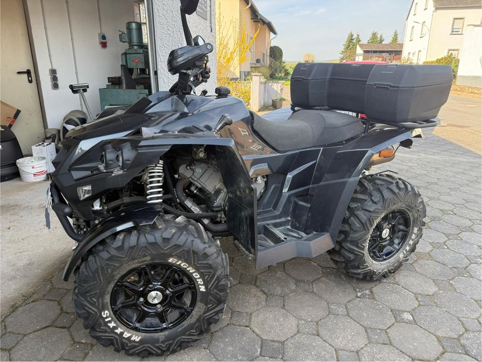  Quad Dinli LoF 2013 — rear view