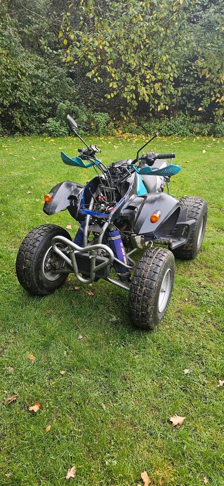 Weitere Motorräder Quad RAM 250 (Standard Motor) – Bastlerfahrzeug / Winterprojekt 2004 — авто для ЗСУ з Європи