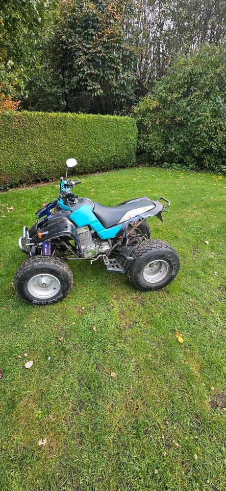 Weitere Motorräder Quad RAM 250 (Standard Motor) – Bastlerfahrzeug / Winterprojekt 2004 — вигляд ззаду