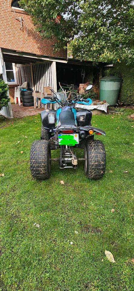 Weitere Motorräder Quad RAM 250 (Standard Motor) – Bastlerfahrzeug / Winterprojekt 2004 — салон