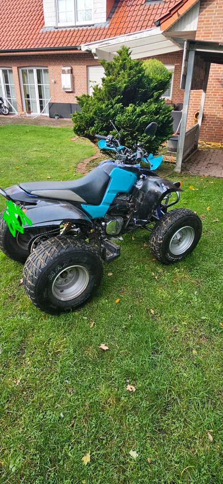 Weitere Motorräder Quad RAM 250 (Standard Motor) – Bastlerfahrzeug / Winterprojekt 2004 — двигун 234 ccm