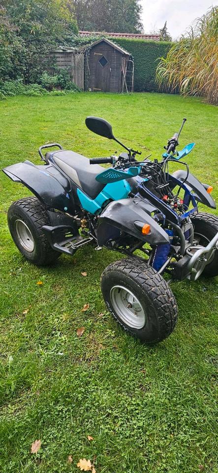Weitere Motorräder Quad RAM 250 (Standard Motor) – Bastlerfahrzeug / Winterprojekt 2004 — фото 5