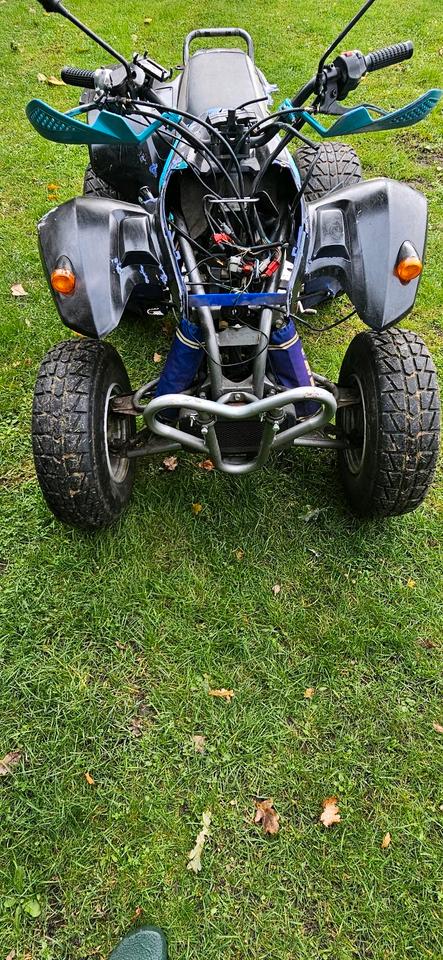 Weitere Motorräder Quad RAM 250 (Standard Motor) – Bastlerfahrzeug / Winterprojekt 2004 — фото 6