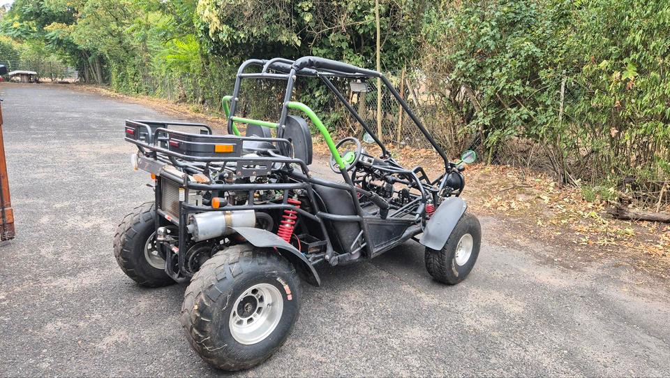 Weitere Motorräder Shark BCB 300 Buggy 2007 — photo 5