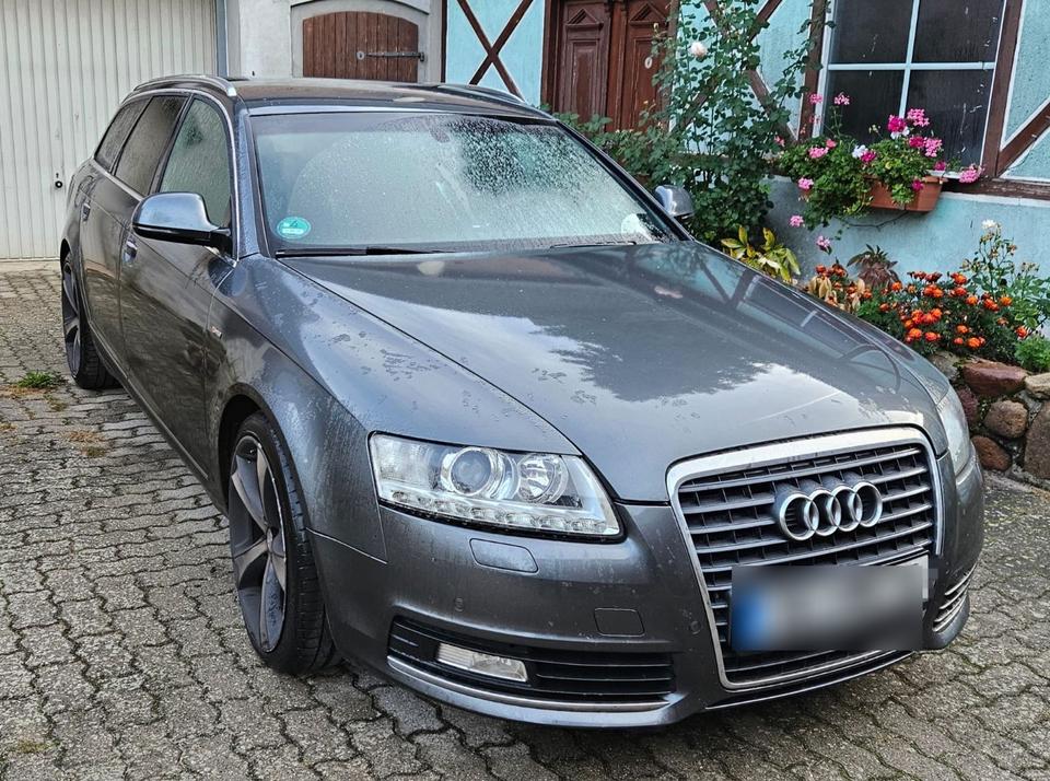 Audi A6 2010 — вигляд ззаду