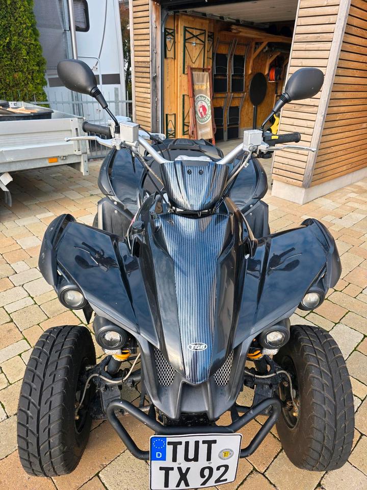 Weitere Motorräder Quad TGB Target 325ccm 2012 — rear view