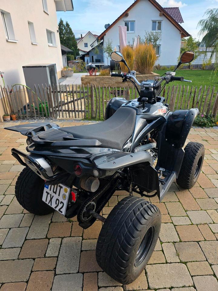 Weitere Motorräder Quad TGB Target 325ccm 2012 — photo 5
