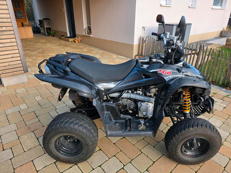 Weitere Motorräder Quad TGB Target 325ccm 2012 — photo 6