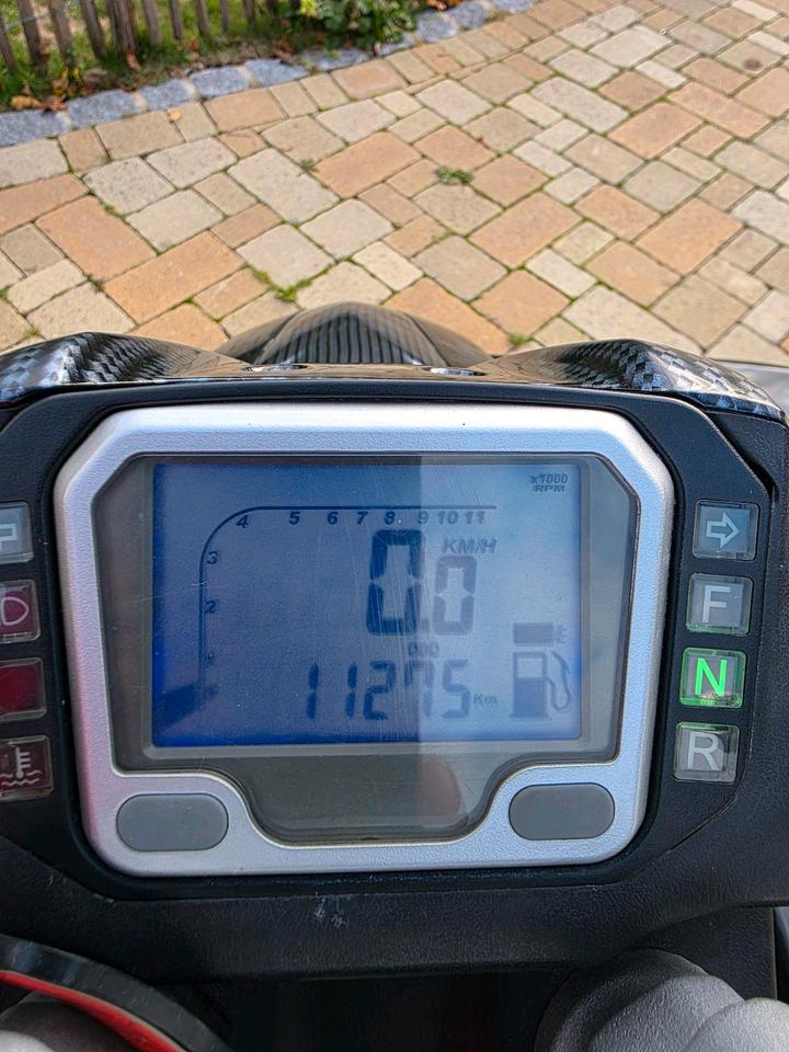 Weitere Motorräder Quad TGB Target 325ccm 2012 — photo 8