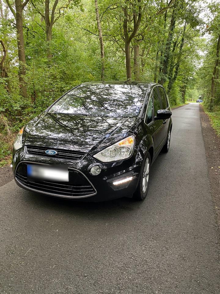 Ford S-Max 2011 — вигляд ззаду