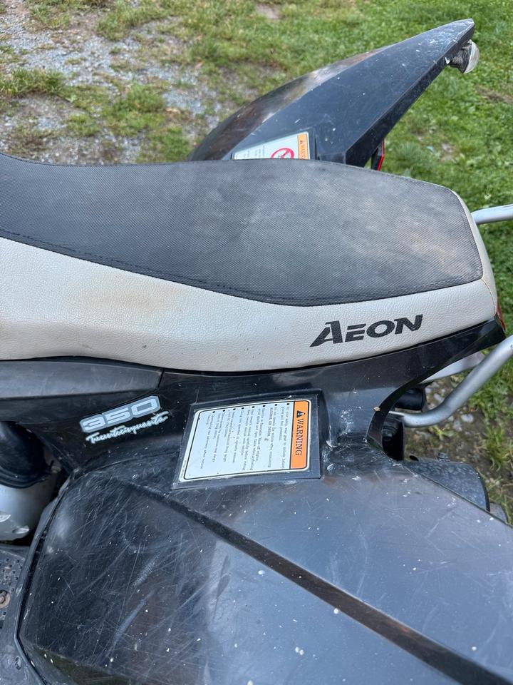  AEON 350 Cobra Quad *Wenig Kilometer* 2008 — фото 6