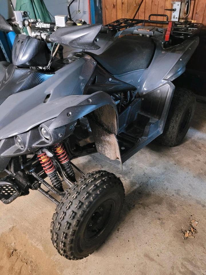 Weitere Motorräder Quad TGB Target 325 er, 2010