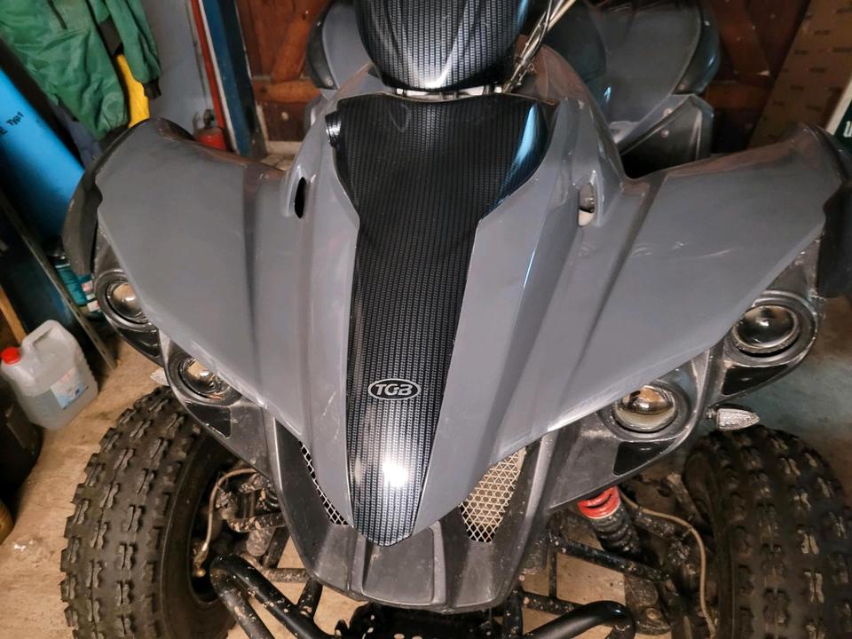 Weitere Motorräder Quad TGB Target 325 er 2010 — rear view