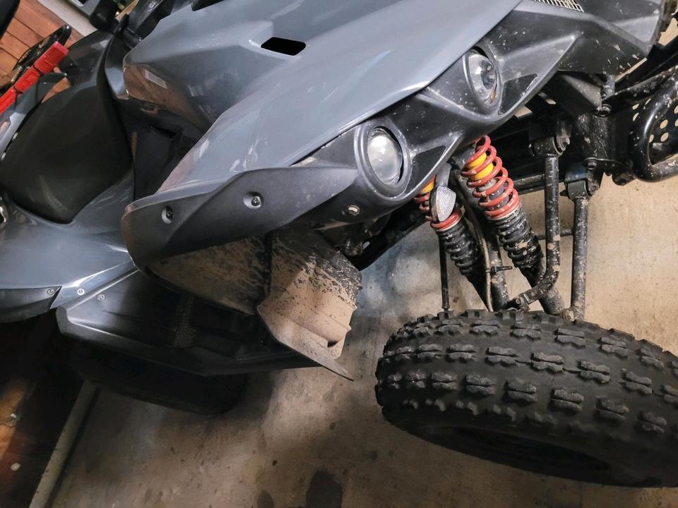Weitere Motorräder Quad TGB Target 325 er 2010 — interior