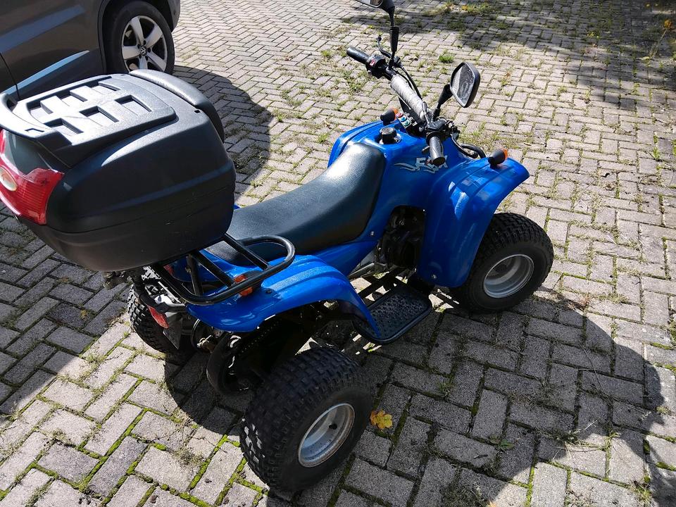 Weitere Motorräder Gelöscht • 50ccm Quad 2004 — вигляд ззаду