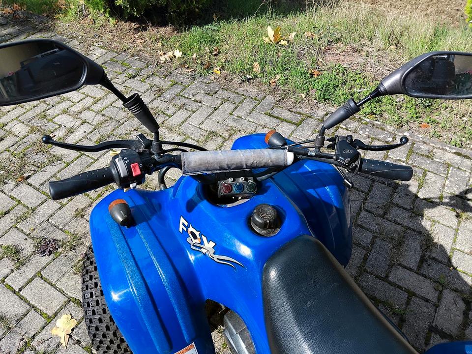 Weitere Motorräder Gelöscht • 50ccm Quad 2004 — салон