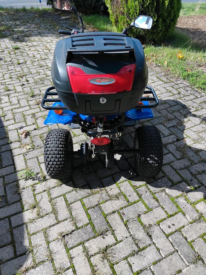 Weitere Motorräder Gelöscht • 50ccm Quad 2004 — двигун 50 ccm