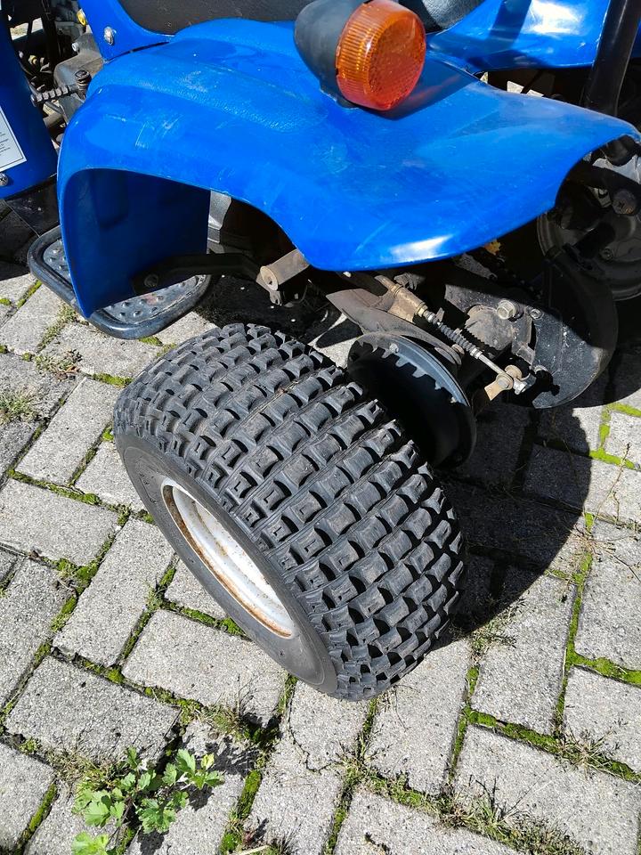 Weitere Motorräder Gelöscht • 50ccm Quad 2004 — фото 7