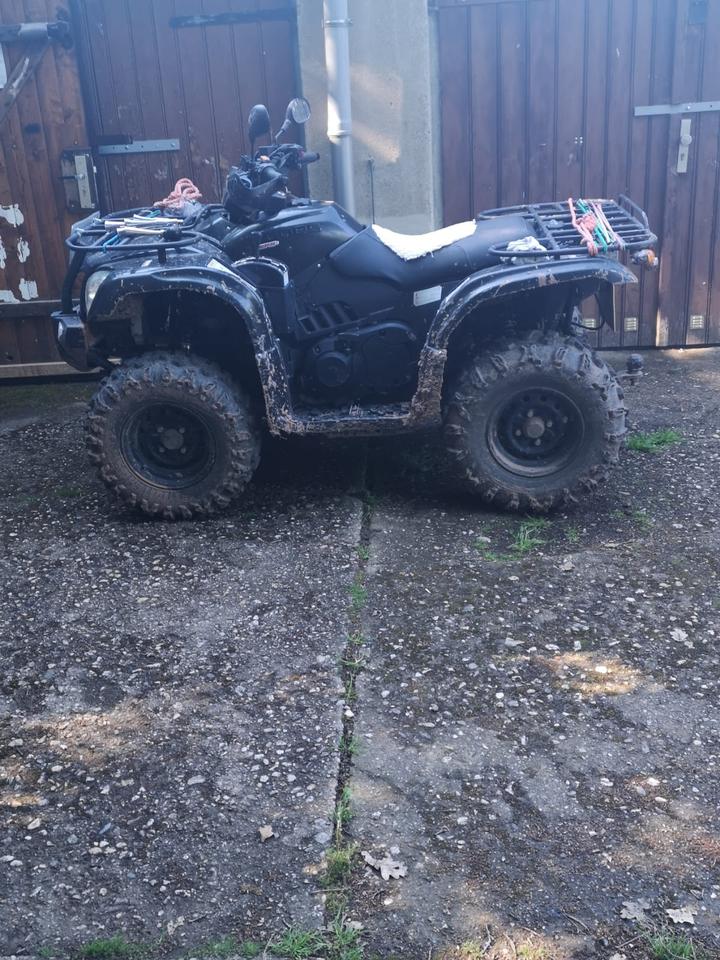 Weitere Motorräder Quad Goes 500, 2015