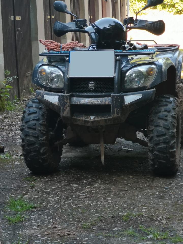 Weitere Motorräder Quad Goes 500 2015 — interior