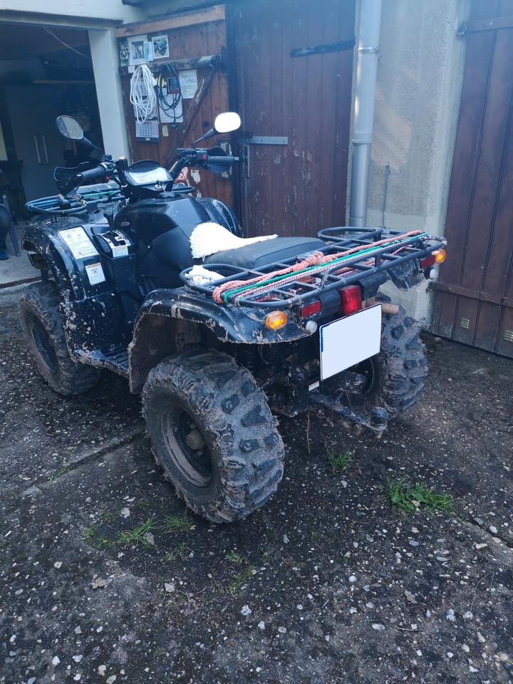 Weitere Motorräder Quad Goes 500 2015 — engine 500 ccm