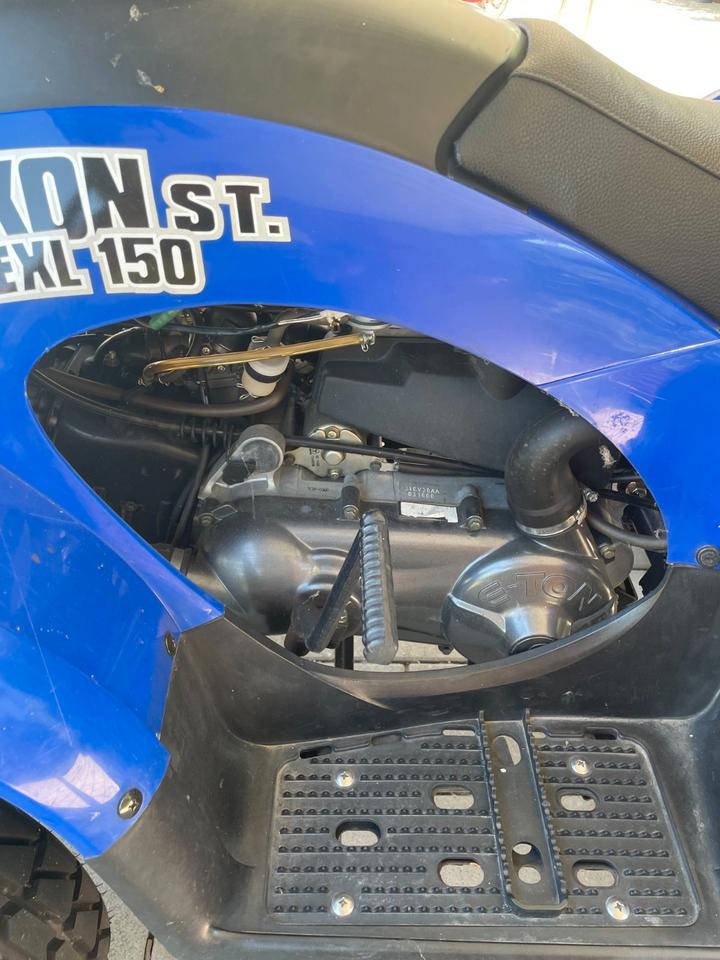 Weitere Motorräder Quad ETon Yukon EXL 2011 — вигляд ззаду