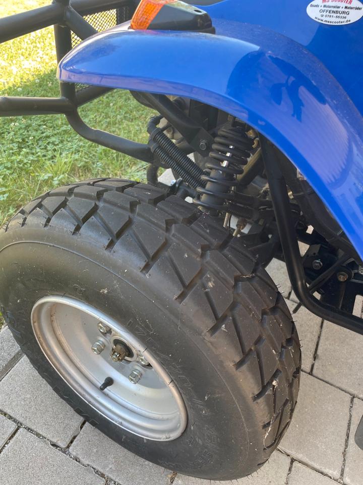Weitere Motorräder Quad ETon Yukon EXL 2011 — салон