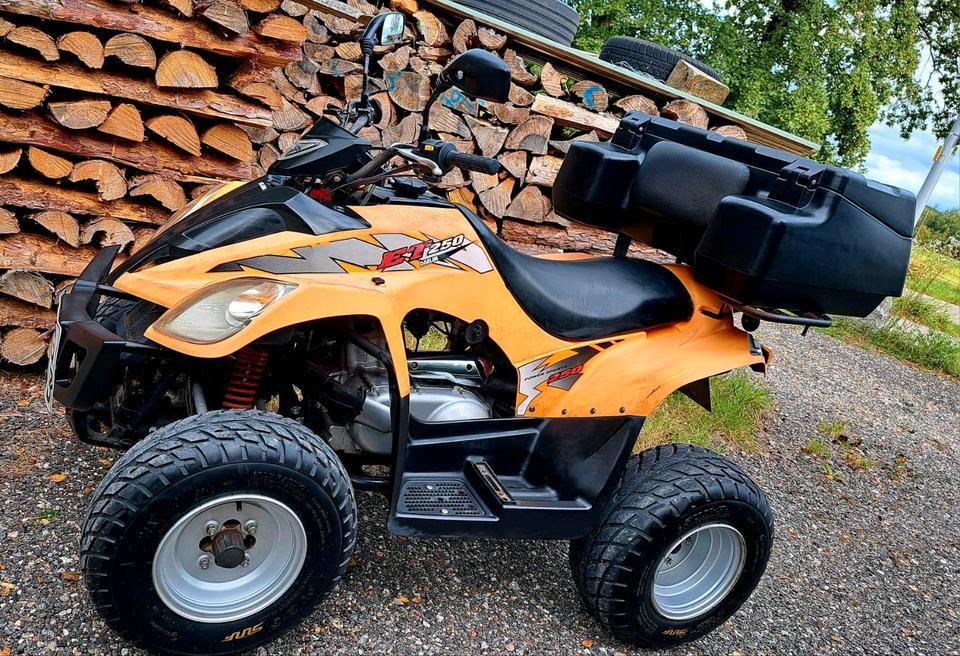 Kymco Daelim ET Quad 250 ATV Kymco MXU 300 TGB Cfmoto Adly Beeline 2007 — rear view