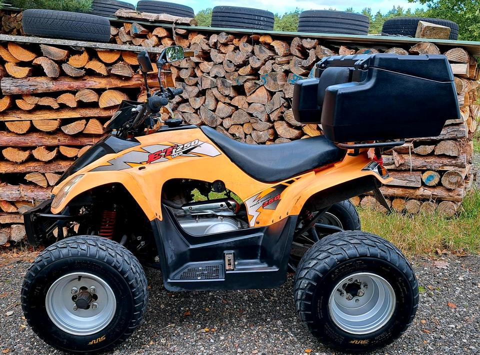 Kymco Daelim ET Quad 250 ATV Kymco MXU 300 TGB Cfmoto Adly Beeline 2007 — interior